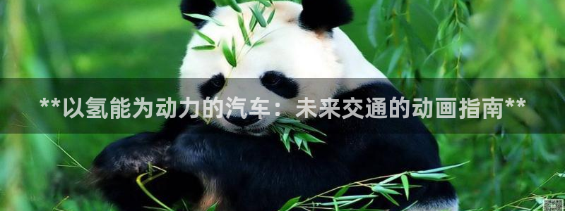 优发国际集团股份有限公司官网